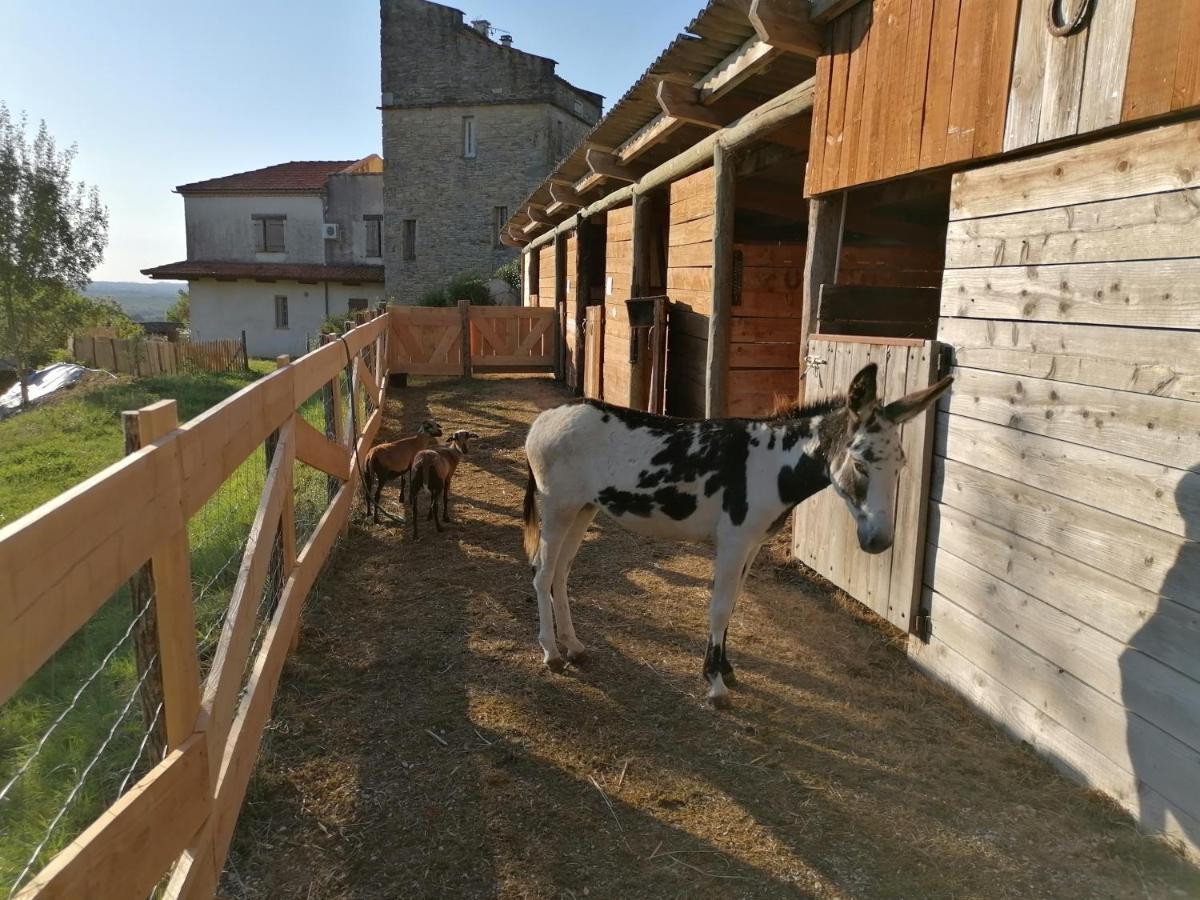 Villa Les Hauts Vallons Puylaroque Exterior photo